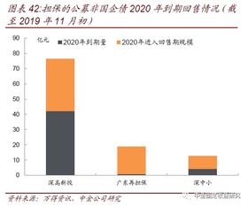 透過城投與非國企債擔(dān)保，解析專業(yè)擔(dān)保公司信用風(fēng)險(xiǎn)跟蹤